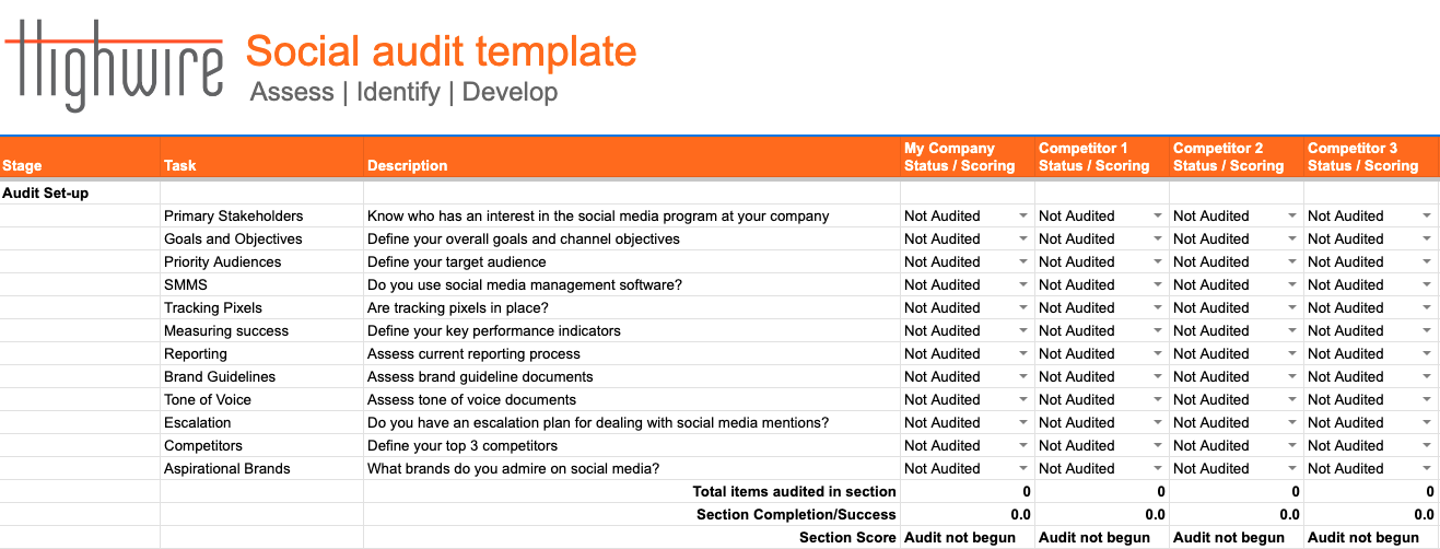Social audit template